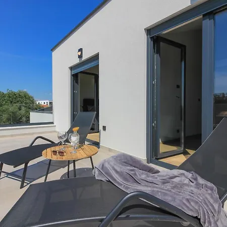 Modern With Private Pool In 别墅 普拉